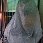 Winter Protection and Overwintering of Ornamental Plants